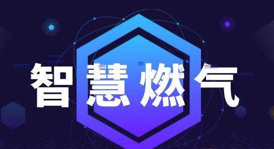 燃?xì)夤具\營管理規(guī)章制度范本