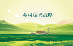 有效銜接，做好鄉村振興大文章